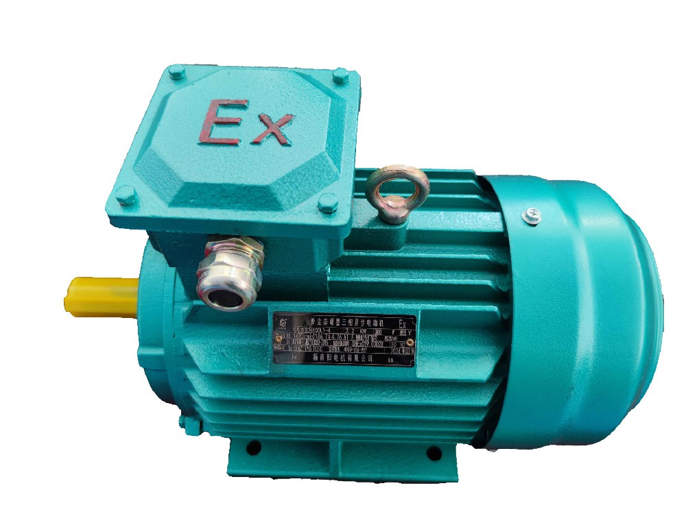 YFB4粉塵防爆電機(jī)